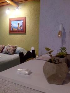 pokój z łóżkiem i stołem z rośliną w obiekcie Architerra w mieście San Javier