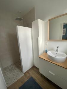 a bathroom with a sink and a mirror at Superbe appartement Moderne Hyper centre de Vittel in Vittel