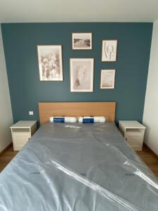 a bedroom with a large bed with blue walls at Superbe appartement Moderne Hyper centre de Vittel in Vittel