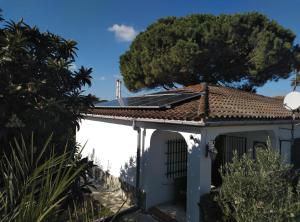 ein weißes Haus mit einem Baum auf dem Dach in der Unterkunft Villa de Limones in Chiclana de la Frontera