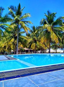 una piscina con palmeras en el fondo en Pearl Oceanic Resort - Trincomalee, en Trincomalee