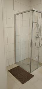 een douche met een glazen deur in de badkamer bij Albarosa Appartemant in Öblarn