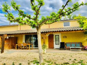a house with a tree in front of it at Aux Lauriers d'Adhémar in La Garde-Adhémar