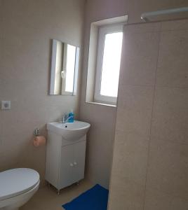 a bathroom with a sink and a toilet and a window at Apartament 6 Budiu in Târgu-Mureş