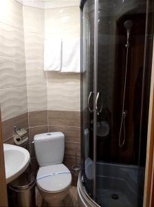a bathroom with a toilet and a sink and a shower at Villa Filiak in Yablunytsya +101 photos