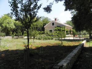 Vonkajšia záhrada v ubytovaní Holiday Home Borna