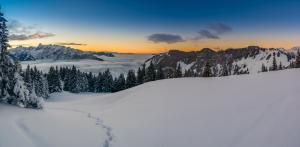 uma vista para uma montanha nevada com árvores e nuvens em Relax & Vitalhotel Adler em Schruns