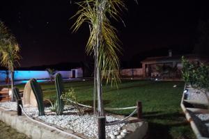 A garden outside Villa fuente redonda