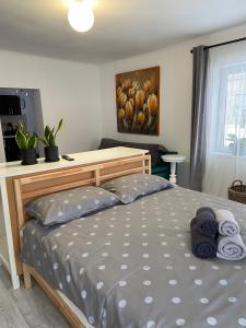 Krevet ili kreveti u jedinici u objektu Citadella House Targu Mures