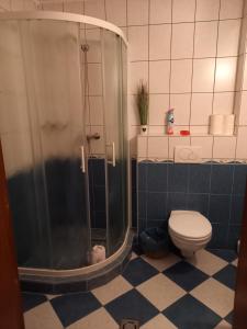 Kúpeľňa v ubytovaní Blum Pince - Borozó Vendégház