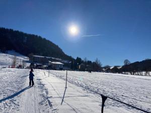 una persona en esquís en un campo cubierto de nieve en Ferienwohnung Ausblick, en Missen-Wilhams