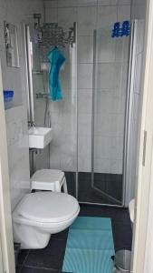 a bathroom with a shower and a toilet and a sink at Klinket Zoutelande in Zoutelande