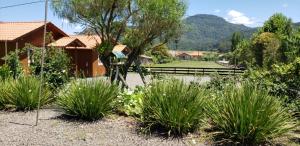a garden with green plants in front of a house at Amanhecer na Serra in Urubici