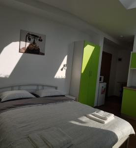 - une chambre avec un lit et une armoire verte dans l'établissement Apartament 9 Budiu, à Târgu-Mureş
