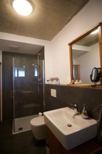 ein Bad mit einem Waschbecken, einer Dusche und einem WC in der Unterkunft Apartment im Wanderparadies Siebengebirge in Königswinter