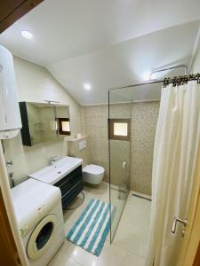 a bathroom with a sink and a toilet and a shower at Apartman Admir in Gladno Polje +12 photos