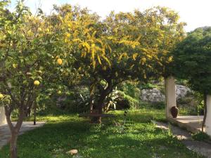 A garden outside Katzilieris Country House