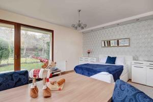 ein Schlafzimmer mit einem Bett und einem großen Fenster in der Unterkunft Madarhegy Apartment with garden Buda side in Budapest