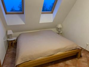 a bedroom with a bed with two tables and two windows at Frische Brise in Insel Poel