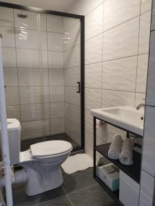 a bathroom with a toilet and a shower and a sink at Studio 3 in Moirans-en-Montagne