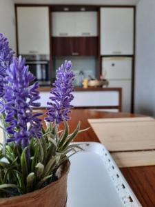 a vase of purple flowers on a table in a kitchen at Apartman Kovaci in Sarajevo