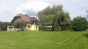 a house on a hill with a tree at Agroturystyka Żubrówka in Żubrówka