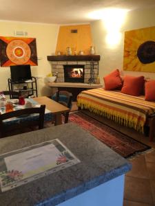 salon z kanapą i kominkiem w obiekcie Appartamento Armonia w mieście Podenzana