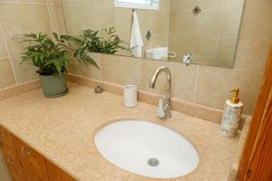 een badkamer met wastafel en plant bij הגורן in Kefar Szold +5 foto's