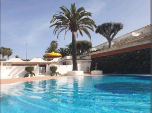 Bazén v ubytování PURA VIDA nebo v jeho okolí + 11 fotografií