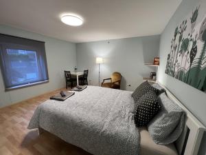 Schlafzimmer mit einem Bett und einem Fenster in der Unterkunft city rooms luxembourg in Luxemburg (Stadt)
