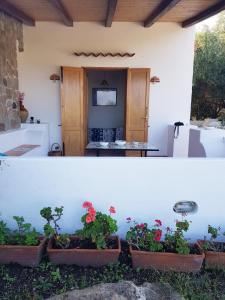 eine Veranda mit drei Topfpflanzen an einer Wand in der Unterkunft VILLA AURA in Lipari