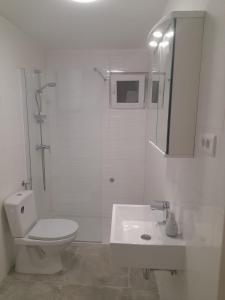 a bathroom with a toilet and a shower and a sink at Apartments & Room Paula in Split