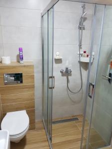 Ein Badezimmer in der Unterkunft Gaga apartman Zlatibor