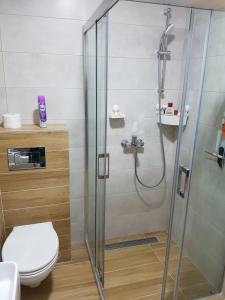 a bathroom with a shower and a toilet at Gaga apartman Zlatibor in Zlatibor