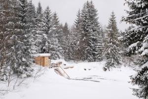 Starý dom durante o inverno