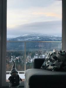 Príroda v okolí apartmánu