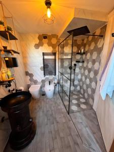 a bathroom with a shower and a toilet and a sink at Eco Home in Bracciano