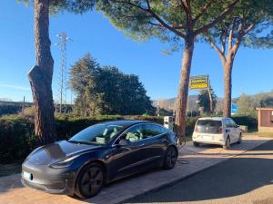 Kép Hotel Ristorante Il Gabbiano szállásáról Passignano sul Trasimenóban a galériában