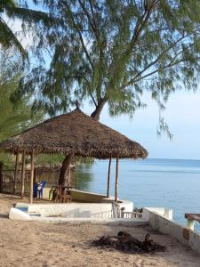 a straw umbrella on a beach next to the water at Tayana place in Kizimkazi