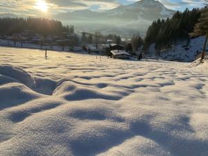 Berghof Haselsberger during the winter