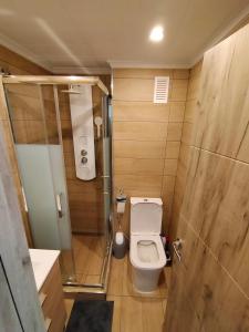 a small bathroom with a toilet and a shower at Studio Arquitecto in Torrevieja +25 photos