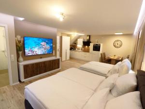 ein Wohnzimmer mit einem Bett und einem Flachbild-TV in der Unterkunft -Neubau- 42 qm Balkon-Apartment in Fulda