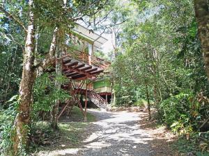 uma casa na árvore no meio da floresta em Canopy Wonders Vacation Home em Monteverde
