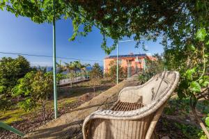 Vonkajšia záhrada v ubytovaní Casa Victor - Apartment Torahy