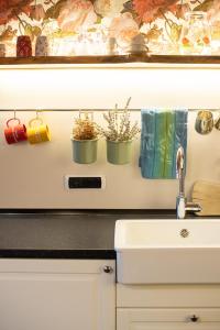 a kitchen with a sink and some plants in pots at BeautyfoodLAB in Arco +18 photos