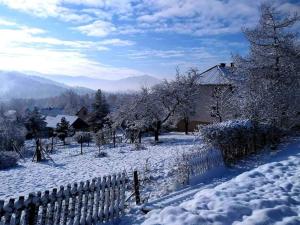 einen schneebedeckten Hof mit einem Zaun und Bäumen in der Unterkunft Domek Tuni in Pewel Wielka