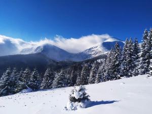 Кришталеві вершини v zimě