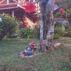 un niño pequeño sentado en una roca junto a un árbol en CABAÑA de Mi JARDÍN EN DOTA, en Jardín