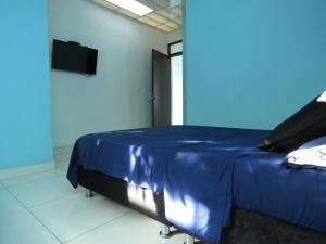 a blue room with a bed and a television at Nirvana , Casa de Huéspedes in Melgar