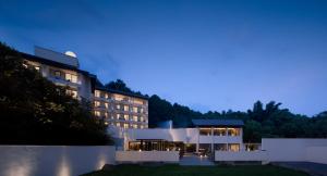 阳朔Guilin Yangshuo Nine Roots Luxury Hotel的酒店夜间效果图